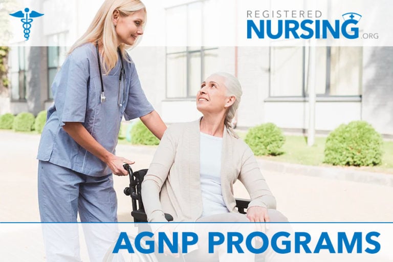 Adult Gerontology Nurse Practitioner Programs (AGNP)